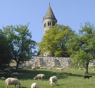 Blick auf den Marsiliusturm, im Kloster Lorch, im Vordergrund Schafweide