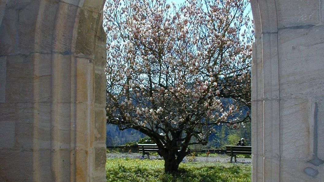 Klostergarten im Kloster Lorch