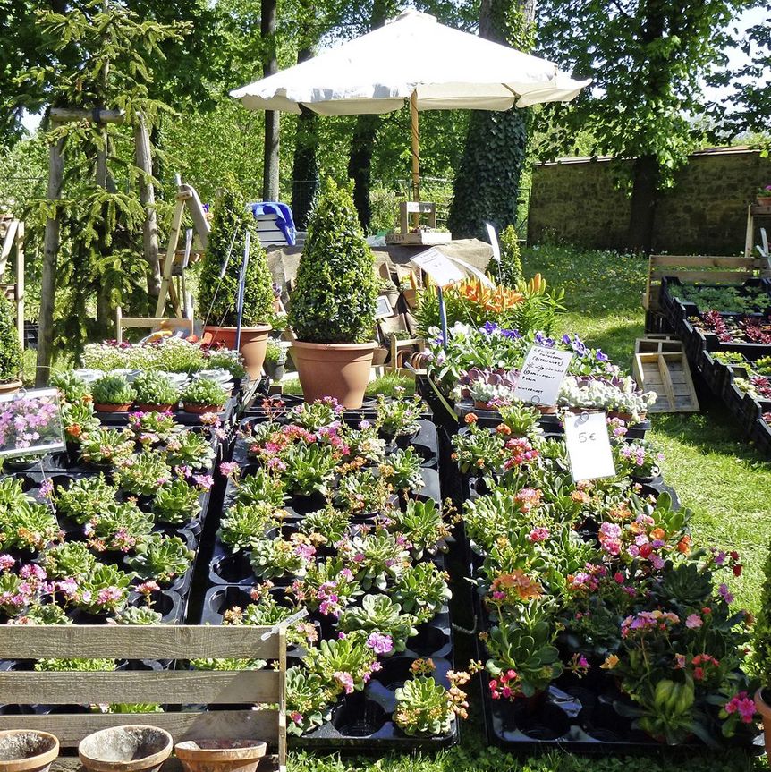 Kloster Lorch, Event, GartenLust, Pflanzen