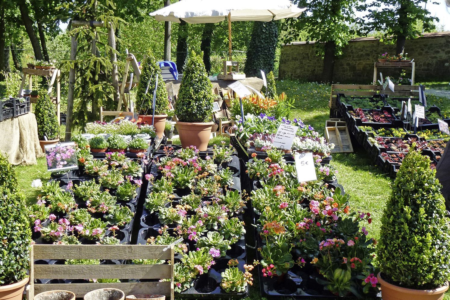 Kloster Lorch, Event, GartenLust, Pflanzen