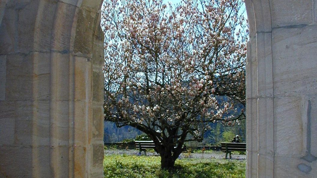 Monastery garden at Lorch Monastery