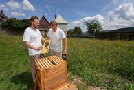 Foto: Staatliche Schlösser und Gärten Baden-Württemberg, Andreas Weise Kloster Lorch, Bienenweide