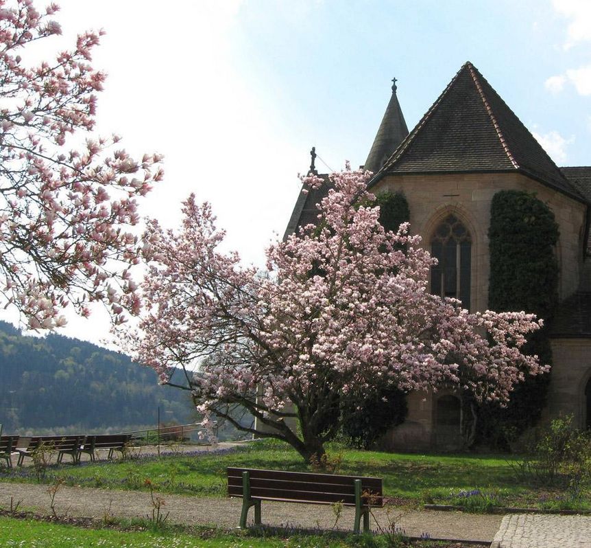 Magnolias in front of the cloister in Lorch Monastery. Image: The organization team of Lorch Monastery